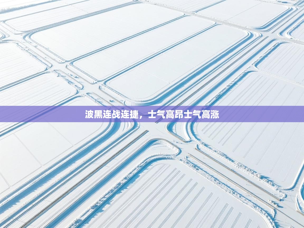 波黑连战连捷,士气高昂士气高涨 第2张