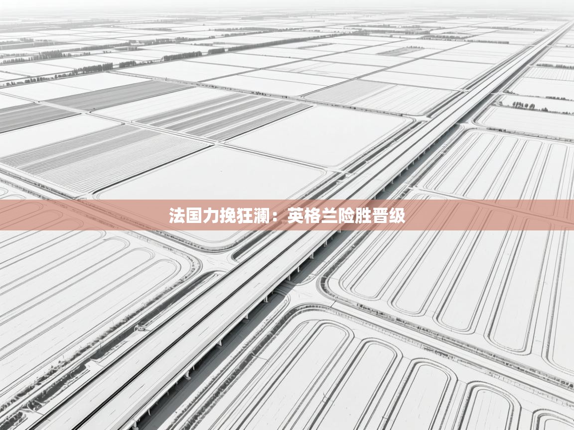 法国力挽狂澜：英格兰险胜晋级  第2张